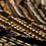 Moneyball