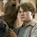War horse caballo de batalla