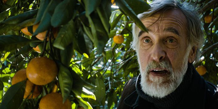 Crítica película Tangerines (Mandariinid) nominada en los Oscar 2015 y comentada en filmfilicos el blog de cine