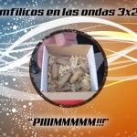 Programa de radio filmfilicos en las ondas 3x23
