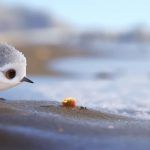 Cortometraje Piper de Pixar