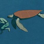 Crítica película La tortuga roja