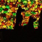 Isla de perros - Filmfilicos, blog de cine