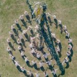 Midsommar | Filmfilicos, blog de cine