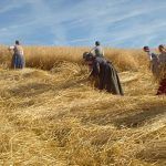 La mujer que sabía leer | Blog de cine
