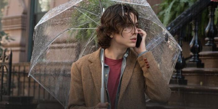 Un dia de lluvia en Nueva York - filmfilicos - blog de cine