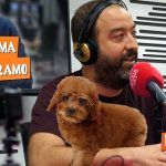 Ni programa ni programo 1x06 - Lod e Lucas