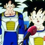 Ni programa ni programo – Quédate en tu puta casa, como Goku y Gohan