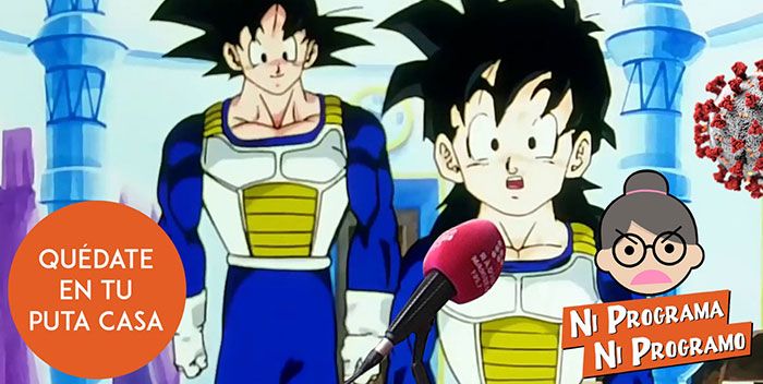 Ni programa ni programo – Quédate en tu puta casa, como Goku y Gohan