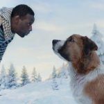 La llamada de lo salvaje | Blog de cine filmfilicos