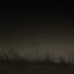 La carretera (The Road) | Blog de cine