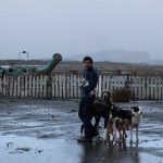 Dogman | Filmfilicos, blog de cine