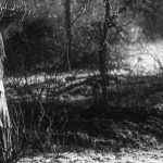 November | Filmfilicos, el blog de cine