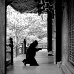 The Assassin