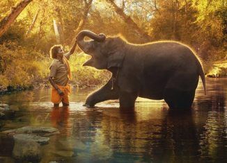 Reseña del mediometraje Nuestro bebé elefante (The Elephant Whisperers) | Oscars 2023