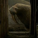 Haulout | Cortometrajes de los Oscars 2023