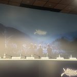 Cannes 2024: Diario de un Festival - Primera parte